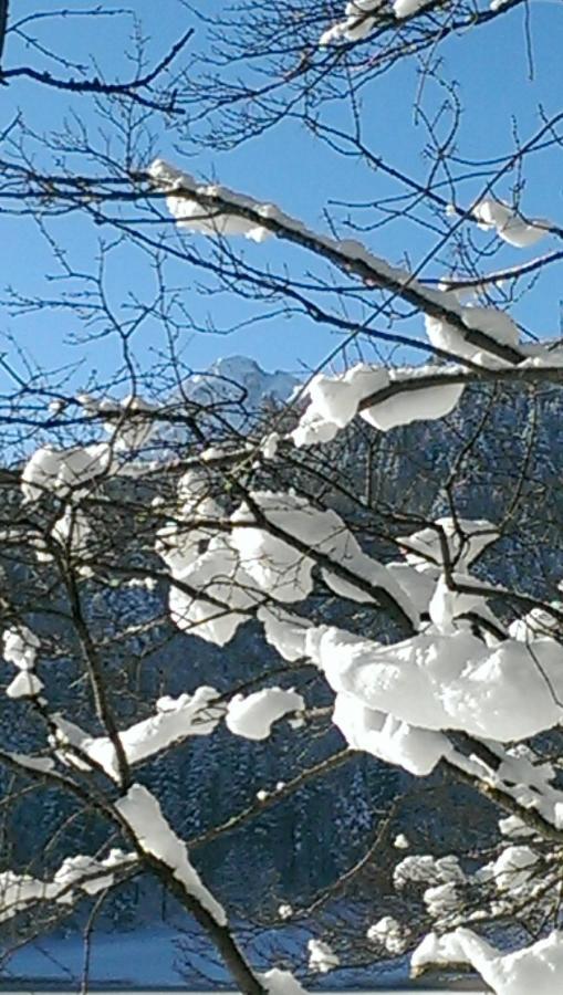Fw Weissensee 44 Füssen المظهر الخارجي الصورة