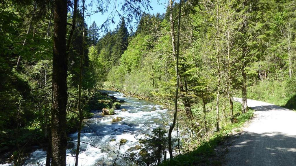 شقة Fw Weissensee 44 Füssen المظهر الخارجي الصورة