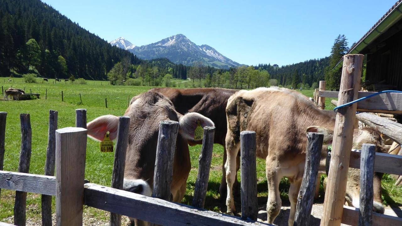 شقة Fw Weissensee 44 Füssen المظهر الخارجي الصورة