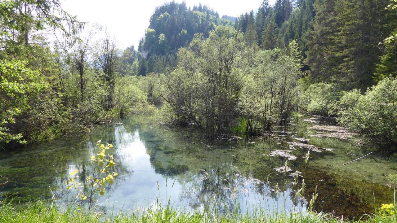 Fw Weissensee 44 Füssen المظهر الخارجي الصورة