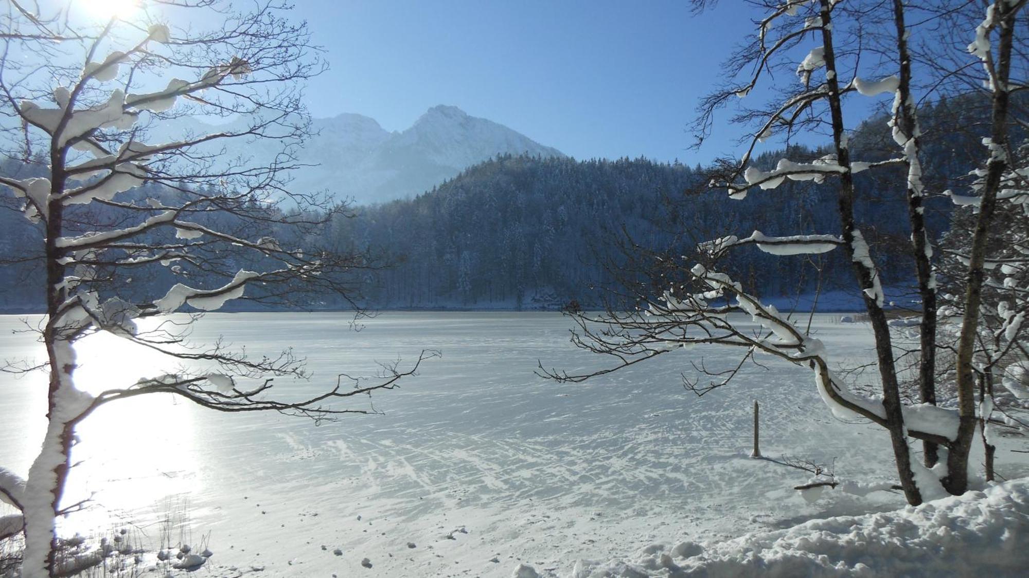 شقة Fw Weissensee 44 Füssen المظهر الخارجي الصورة